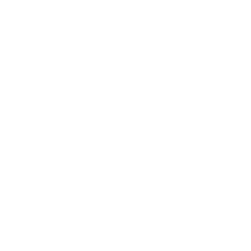 Car en Repair